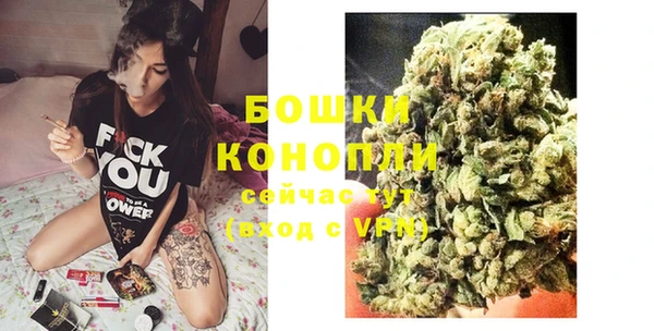 сатива Абаза