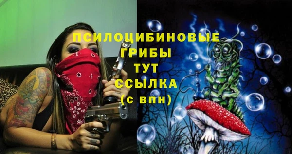 сатива Абаза