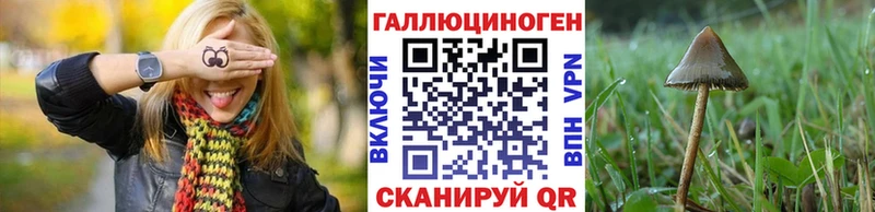 ссылка на мегу маркетплейс Андреаполь Галлюциногенные грибы Magic Shrooms